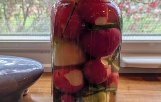 Fruit in a jar