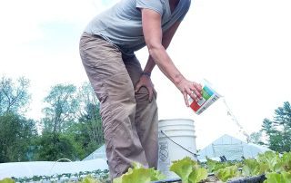 Watering the crops  