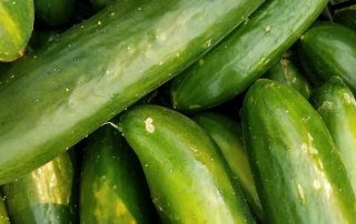 Zucchinis