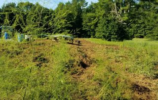 Field