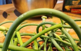 String beans kept in a steel bowl