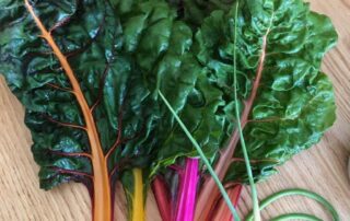 Swiss chard, rainbow chard, and kale