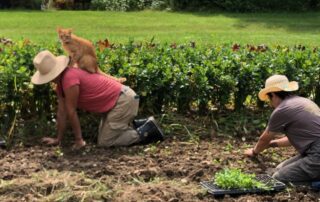 Two peoples farming with a cat on top of one man