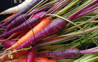 A bunch of colorful carrots in a basket