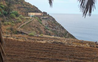 Terraced agricultural fields leading down to a coastal cliff with a building and walkway, framed by palm fronds.