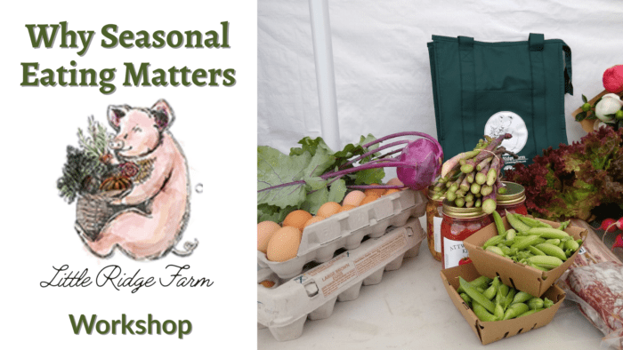 Workshop: Seasonal Eating