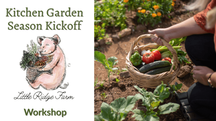 Workshop: Kitchen Garden Season Kick-Off