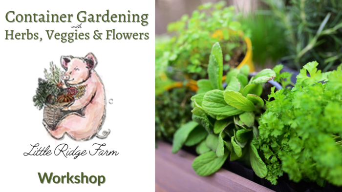 Workshop: Container Gardening with Herbs, Veggies and Edible Flowers