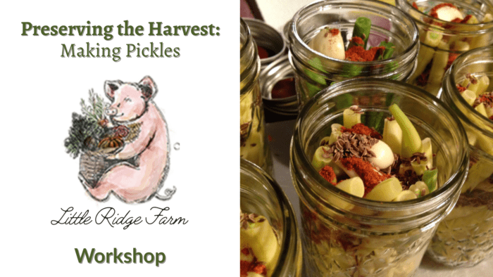 Workshop: Pickle Making