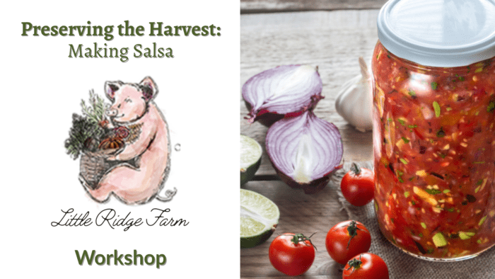 Workshop: Tomato Salsa
